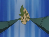 Bayleef usando látigo cepa.