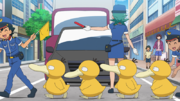 EP1156 Psyduck.png