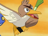 Imagen de Farfetch’d