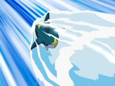 Sharpedo
