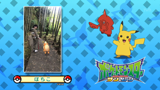Ganador del concurso con Growlithe.