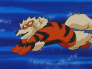 EP063 Arcanine.png