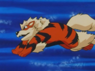 Arcanine en su primera aparición.