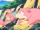 Slowpoke