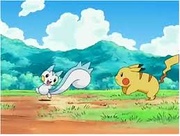 EP488 Pikachu y Pachirisu.jpg