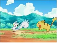 Pachirisu siendo perseguido por Pikachu.