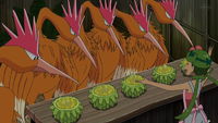 EP1064 Fearow.png