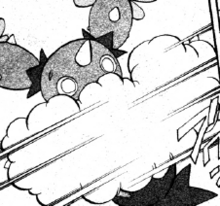 Un Maractus usando guardialgodón/rizo algodón.