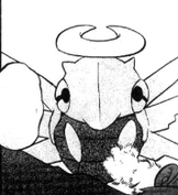 Imagen de Shedinja