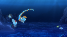 Chinchou