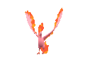 Imagen de Moltres en Pokémon Escarlata y Pokémon Púrpura