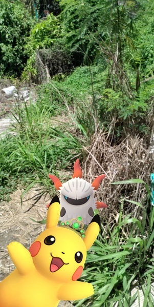 Archivo:Pikachu con corona de malaquita en la instantánea.jpg