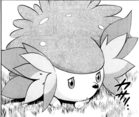 Shaymin