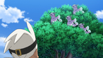 Oricorio