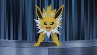 Jolteon de Noa