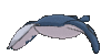 Imagen posterior de Mantine en Pokémon X, Pokémon Y, Pokémon Rubí Omega, Pokémon Zafiro Alfa, Pokémon Sol, Pokémon Luna, Pokémon Ultrasol y Pokémon Ultraluna