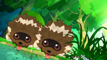 Zigzagoon