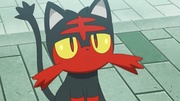 EP947 Litten.jpg