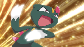 Sneasel usando golpes furia.