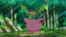 Hoppip