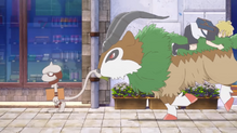 Smeargle