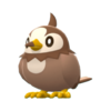 Imagen de Starly variocolor hembra en Pokémon Diamante Brillante y Pokémon Perla Reluciente