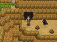 El Zoroark de N guiándonos al Castillo de N/Palacio de N (2).