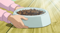 Serena sirviendo un plato de comida Pokémon para un Rhyhorn.