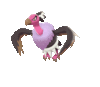 Imagen de Mandibuzz variocolor en Pokémon Espada y Pokémon Escudo