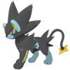 Luxray Masters.png