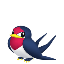 Taillow macho
