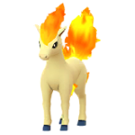 Ponyta