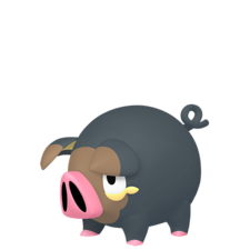Lechonk macho