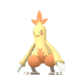 Imagen de Combusken hembra en Pokémon Diamante Brillante y Pokémon Perla Reluciente