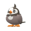 Starly DBPR hembra.png