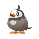 Imagen de Starly hembra en Pokémon Diamante Brillante y Pokémon Perla Reluciente