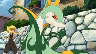Imagen de Serperior