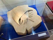 Representación del fósil domo