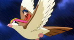 Imagen de Pidgeot