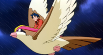 Imagen de Pidgeot