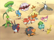 EP360 Pokémon de May, Ash y Brock.png