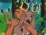EP127 Brock con Stantler.png