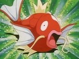 Magikarp