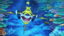 Sharpedo