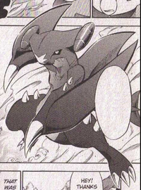 Garchomp de Cintia