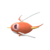 Magikarp DBPR hembra.png