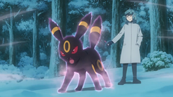 Umbreon recibiendo laqualio/laquium.