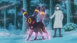 Umbreon recibiendo la bendición eterna.