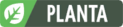 Tipo planta
