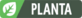 Tipo planta